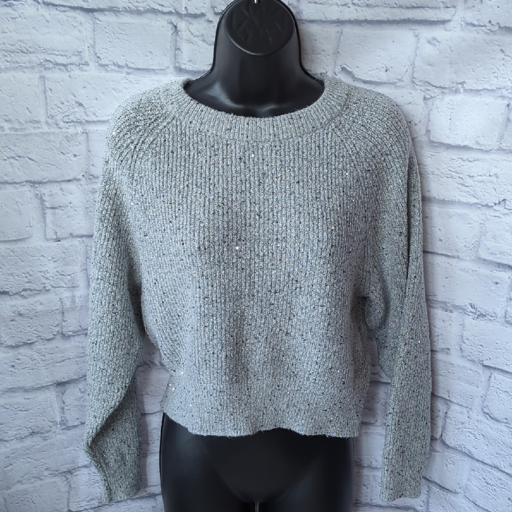 Express Silver Knit Women's Sweater Size M
